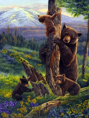 Cub бурого медведя взбирается на дереве Стоковое Изображение - изображение  насчитывающей смешно, мясоед: 102185603