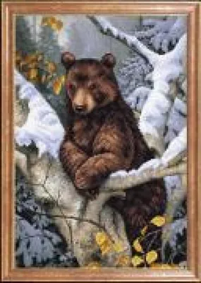 Медведь на дереве рисунок - 68 фото