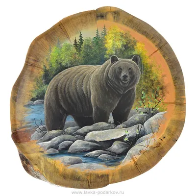 Картина по номерам \"Медведь на дереве\"