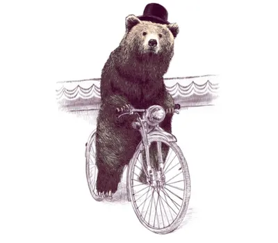Велосипед Медведь 2.0 1500 2020 в Новосибирске- купить электрический велосипед  Медведь 2.0 1500 2020 - цена в интернет магазине ВелоСайт.ру