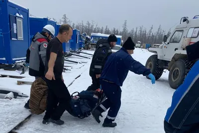 В Кировской области медведь задрал человека: в лесу найдены останки