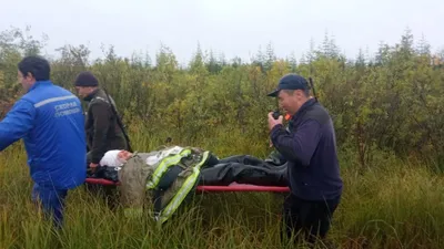 Видео спасения туриста, пострадавшего от нападения медведя в Ергаках,  опубликовано в сети - KP.RU