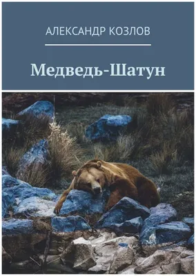 Трагедия на вахте. Медведь-шатун порвал рабочих (видео) - Охотники.ру