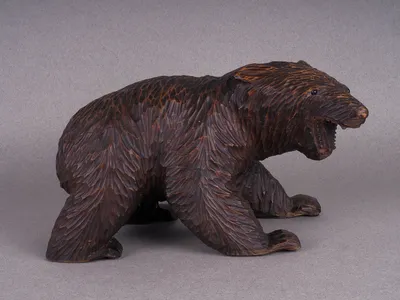Почему медведи просыпаются зимой, или 5 фактов о медведях-шатунах