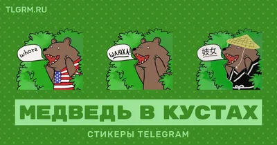 Шлюха и медведь: истории из жизни, советы, новости, юмор и картинки — Все  посты, страница 2 | Пикабу