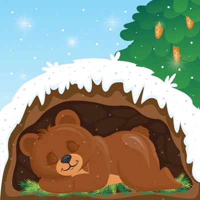 Как спит медведь зимой в берлоге. Не беспробудно - YouTube