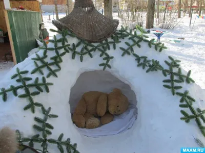 Медведь в спячке | Раскраски с животными, Раскраски, Раскраски для печати