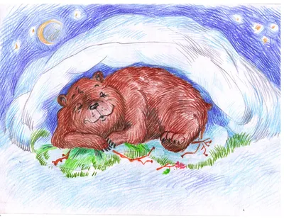 Почему голодные хищники боятся трогать медведей, когда они спят в берлоге |  Заметки о животных | Дзен
