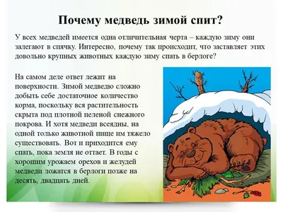 Медведь спит в снежной берлоге новогодняя инсталляция искусственного медведя  в ледяной берлоге | Премиум Фото