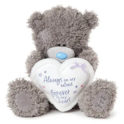 Мягкая игрушка медведь / Плюшевый мишка Тедди / Медвежонок Teddy, 15 см -  купить с доставкой по выгодным ценам в интернет-магазине OZON (1164989465)