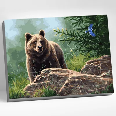 Как узнать, что в лесу живёт медведь? | Летопись живой природы | Дзен