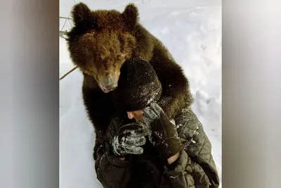 Я уже смирился со смертью\": Жуткий рассказ туриста, выжившего после  нападения медведя в парке \"Ергаки\"