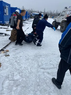 UzNews - В Андижане медведь напал на сотрудника частного зоопарка:  пострадавший скончался на месте