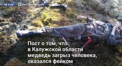 Медведь загрыз в лесу 39-летнюю девушку: она пыталась от него убежать