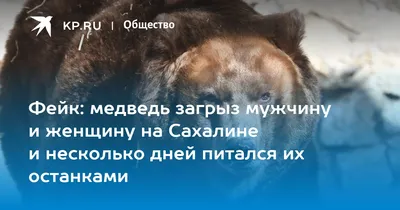 В Магадане медведь загрыз девушку - РИА Новости, 15.07.2023