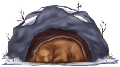 Бурый медведь зимой реалистичный …» — создано в Шедевруме