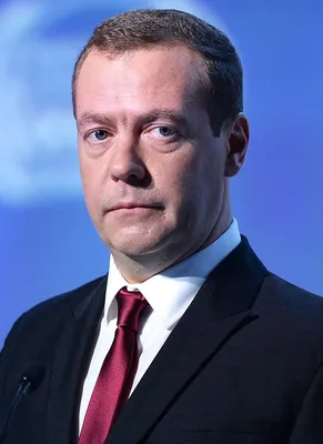 Реинкарнации Медведева - Собеседник