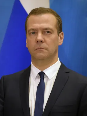 Медведев Дмитрий Анатольевич - официальная декларация. ,