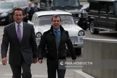 Медведев и шварценеггер фото фото