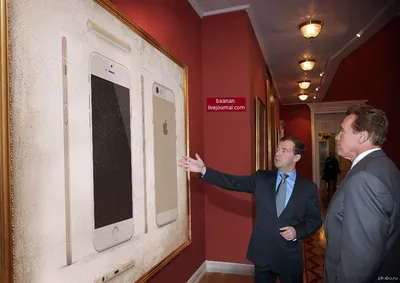 Медведев показывает Шварценеггеру свою любимую картину | Пикабу
