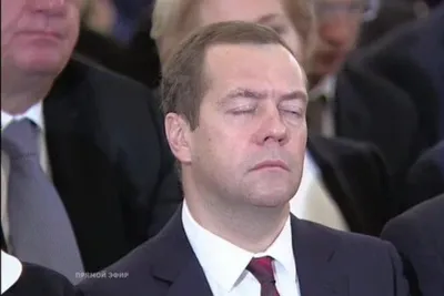 Медведев спит фото фото
