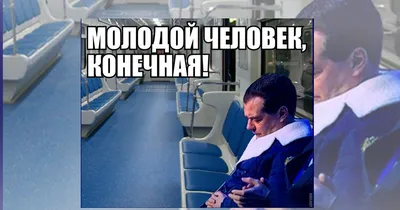 Тем временем Медведев уже научился спать стоя. - 40 кошек, №1724055732 |  Фотострана – cайт знакомств, развлечений и игр