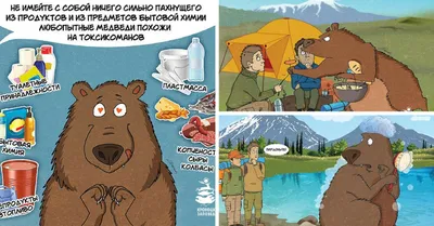 Белый медведь :: медведь / смешные картинки и другие приколы: комиксы, гиф  анимация, видео, лучший интеллектуальный юмор.