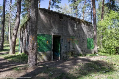 Баня «Медвежья Берлога» (ранее сауна «Градус») на Петруся Бровки, 28 |  Сауны Минска