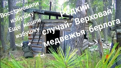 Коттедж «Медвежья берлога» - Дом отдыха «Ватутинки» Московская область  (Подмосковье)