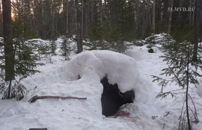 Медвежья берлога фото фото