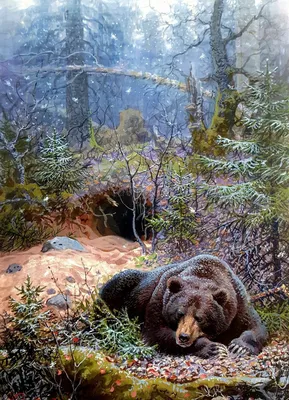Медвежья берлога, быстрое питание, Калуга, улица Комсомольская Роща —  Яндекс Карты