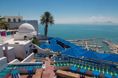 Отель Magic Caribbean Mahdia 4* (Тунис, Махдия) - цены, отзывы 2024, фото -  купить тур в Мэджик Карибиан Махдиа