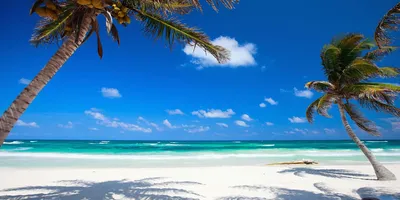 Лучшие пляжи Мексики - Компания Туристический Клуб | TCC.UA