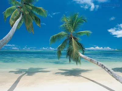 Пляжи Мексики: ТОП 15 от Карибов до Тихого океана