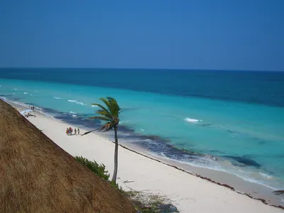 Сравниваю отдых в Доминикане и в Мексике: мой выбор очевиден. |  Olga_Kalnickaya | Дзен