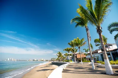 Мексика Пляж Океан - Бесплатное фото на Pixabay - Pixabay