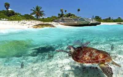 Мексика. Лучшие курорты на Карибском море и Тихом океане