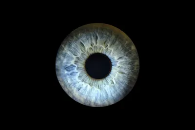 Рак глаза: симптомы, причины, лечение «Ochkov.net»