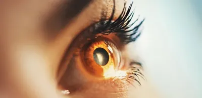Как сегодня лечат меланому глаза? Новости в лечении болезни — Pacient.club