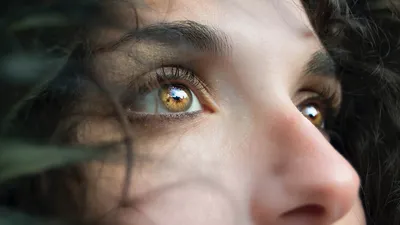 Выяснен механизм развития смертельного вида рака глаза: Здоровье: Наука и  техника: Lenta.ru
