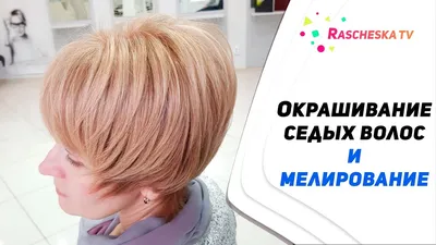 Окрашивание седых волос или Как получить пепельные волосы? | Салон красоты  Wella Элиза | Дзен