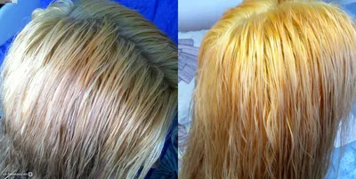 Мелирование - «Вышла из тёмного ценой потери половины волос (фото до и  после)» | отзывы