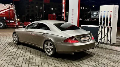 Тигр 🐅🔥😎 #cls #mercedes #clsam... | TikTok