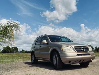 The W163 Mercedes-Benz ML320: Future Overlander Build... or Lost Cause? |  Out Motorsports