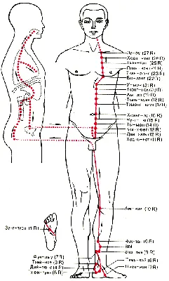 Kidney meridian Меридиан почек - YouTube