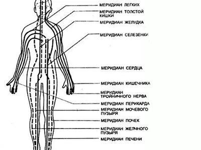 Центр Дао Дэ - Меридиан Почек парный, относится к системе... | Facebook