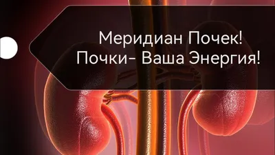 Акупунктурные меридианы в традиционной китайской медицине Акупунктура - это  традиционная китайская медицинская.. | ВКонтакте