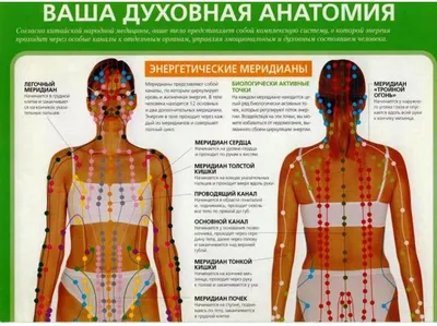 8)Меридиан почек! Здоровье мочеполовой системы! Энергия и свобода от  страхов! - YouTube