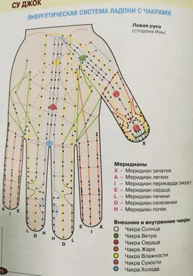 Чего вы могли не знать о нашем организме, меридианы, кинезиология | Саша  Грэй | Дзен