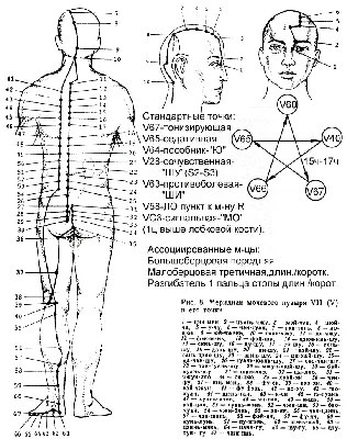 Фото ауры. Исследования энергополя человека на приборе \"Кроуноскоп\"  (Санкт-Петербург). Самопознание.ру